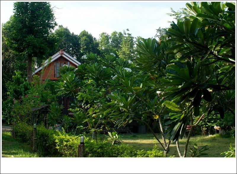 Phuphiangkhiangfah Resort Нан Номер фото
